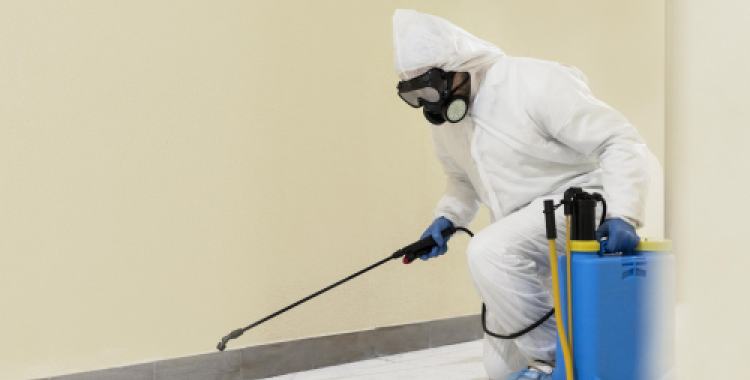 Dedetização para Pulgas e Carrapatos