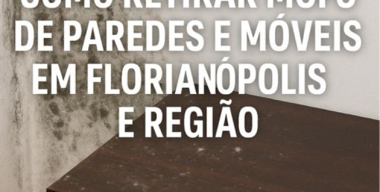 Como Retirar Mofo de Paredes e Móveis em Florianópolis e Região – Guia Completo