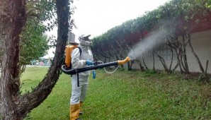 Dedetização para Mosquitos