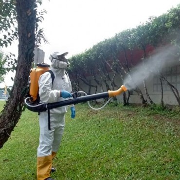 Dedetização para Mosquitos